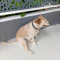 фото из отзыва ID 2726888