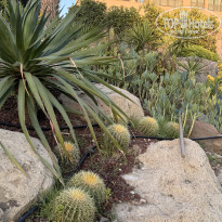 фото из отзыва ID 2727152