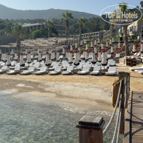 фото из отзыва ID 2727152