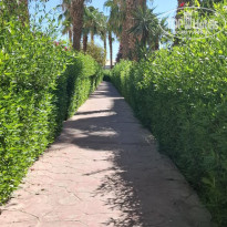 фото из отзыва ID 2727154