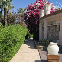 фото из отзыва ID 2727154