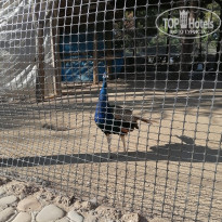 фото из отзыва ID 2727150