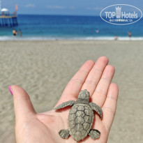 фото из отзыва ID 2727198