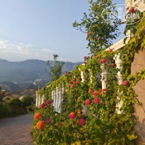 фото из отзыва ID 2727198