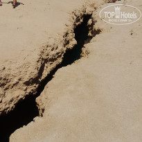 фото из отзыва ID 2727215