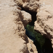 фото из отзыва ID 2727215