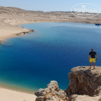 фото из отзыва ID 2727215