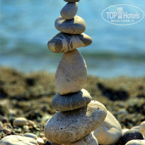 фото из отзыва ID 2727220