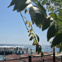 фото из отзыва ID 2727220