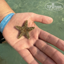 фото из отзыва ID 2727217