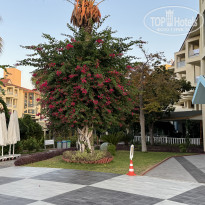 фото из отзыва ID 2727231