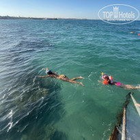 фото из отзыва ID 2727218