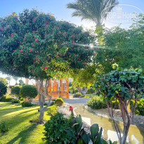 фото из отзыва ID 2727218