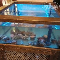 фото из отзыва ID 2727221