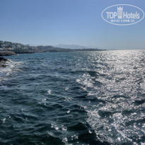 фото из отзыва ID 2727263