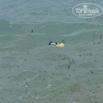 фото из отзыва ID 2727282