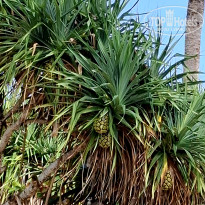 фото из отзыва ID 2727282