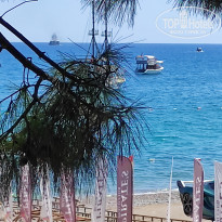 фото из отзыва ID 2727125