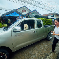 фото из отзыва ID 2726752