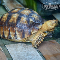 фото из отзыва ID 2726752