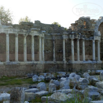 фото из отзыва ID 2727327