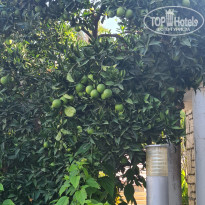 фото из отзыва ID 2727310