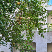 фото из отзыва ID 2727310