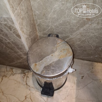 фото из отзыва ID 2727310