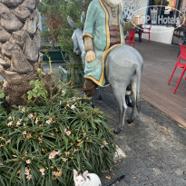 фото из отзыва ID 2727330