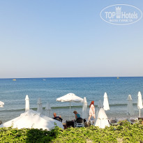 фото из отзыва ID 2727327