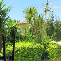 фото из отзыва ID 2727327