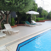 фото из отзыва ID 2727327