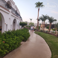 фото из отзыва ID 2727392