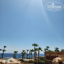 фото из отзыва ID 2727392