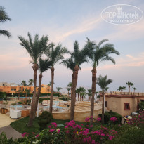 фото из отзыва ID 2727392