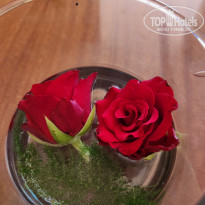 фото из отзыва ID 2727392