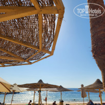 фото из отзыва ID 2727392