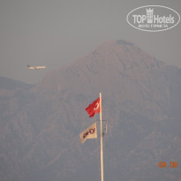 фото из отзыва ID 2726260