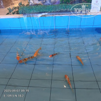 фото из отзыва ID 2727397