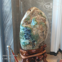 фото из отзыва ID 2727397