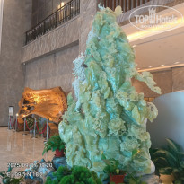 фото из отзыва ID 2727397