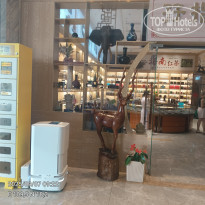 фото из отзыва ID 2727397