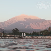 фото из отзыва ID 2727210