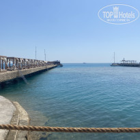 фото из отзыва ID 2727428