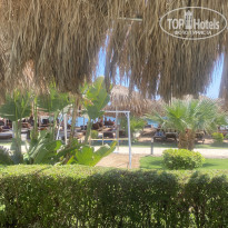 фото из отзыва ID 2727428