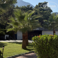 фото из отзыва ID 2727449