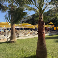 фото из отзыва ID 2727449