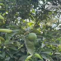 фото из отзыва ID 2727455