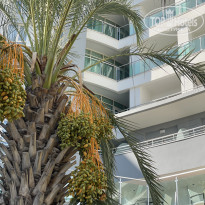 фото из отзыва ID 2727455