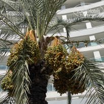 фото из отзыва ID 2727455